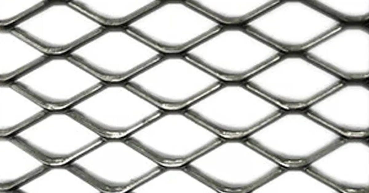 expanded mesh