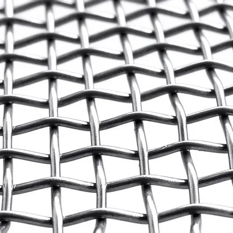 double ss steel wire mesh