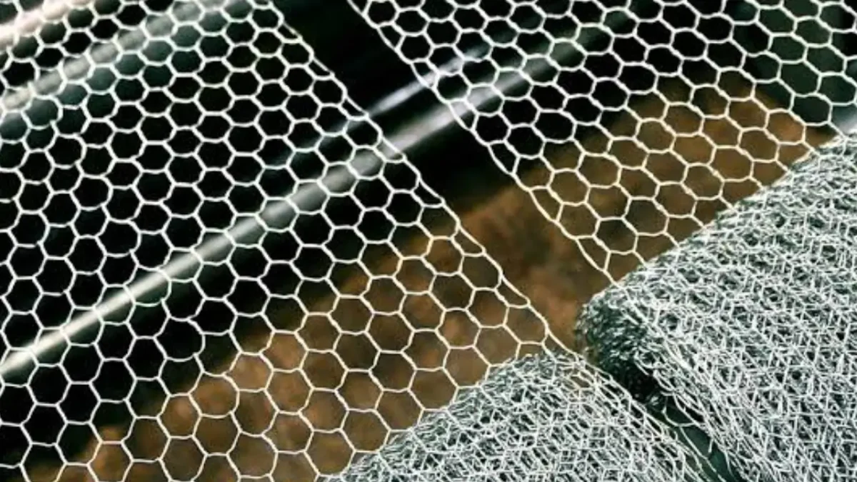 hexagonal wire mesh