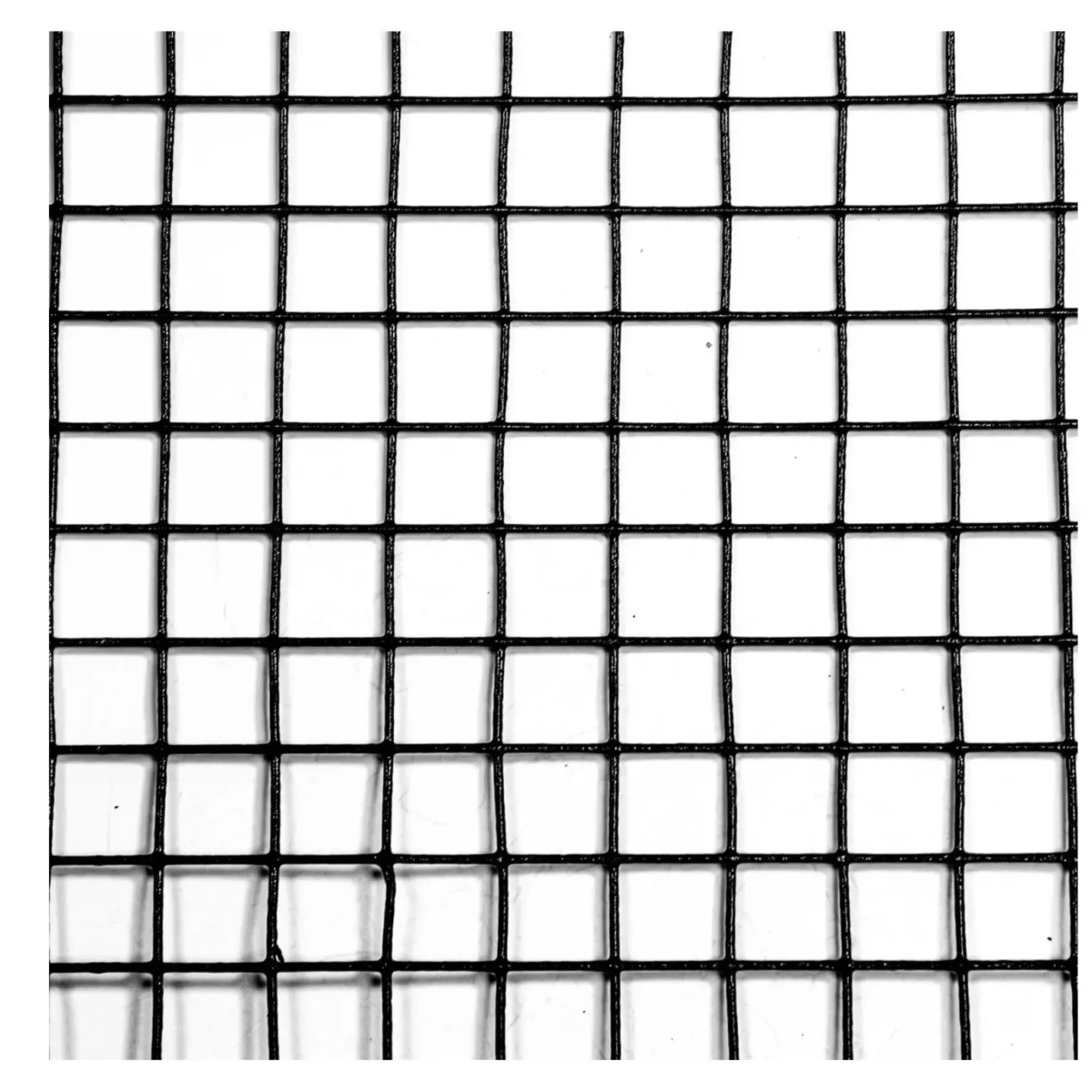 plastic coated wire mesh